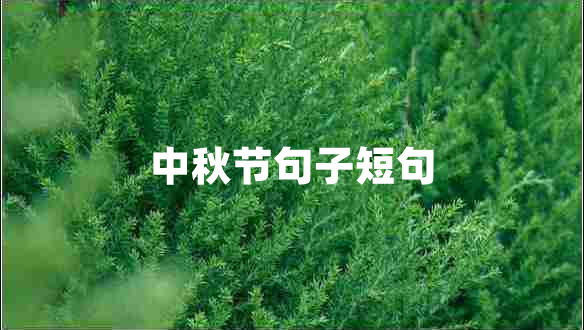 中秋節句子短句