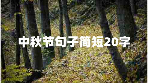 中秋節句子簡(jiǎn)短20字