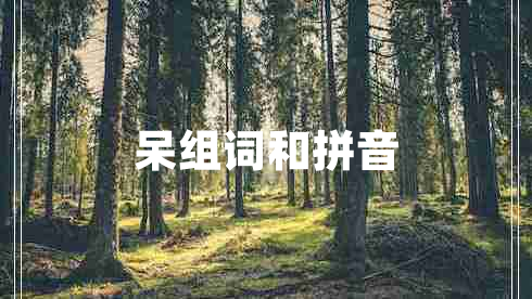 呆組詞和拼音