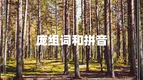 龐組詞和拼音