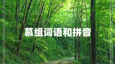 慕組詞語(yǔ)和拼音