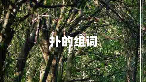 撲的組詞