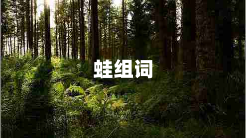 蛙組詞