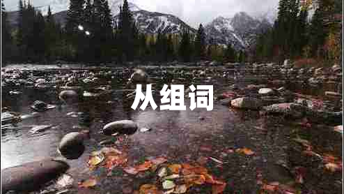 從組詞