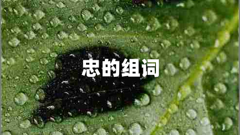 忠的組詞