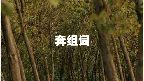 奔組詞