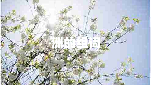 洲的組詞