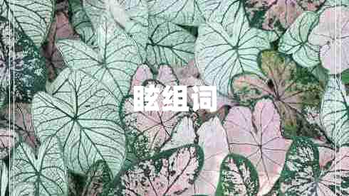 眩組詞