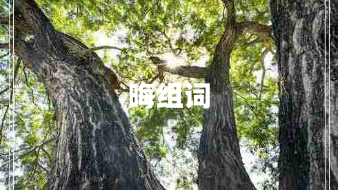晦組詞