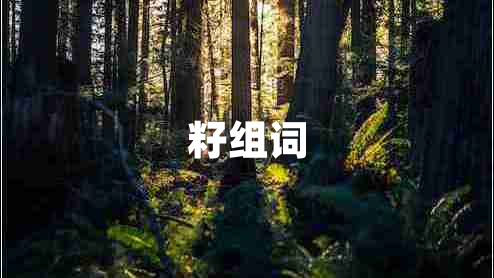 籽組詞