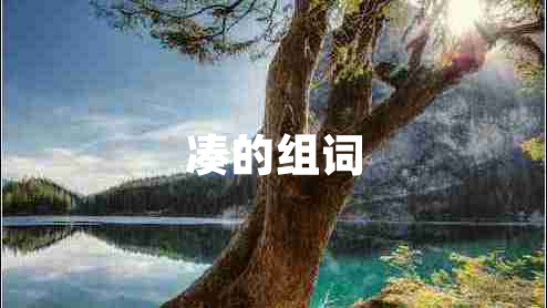 湊的組詞