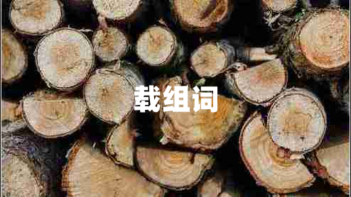 載組詞