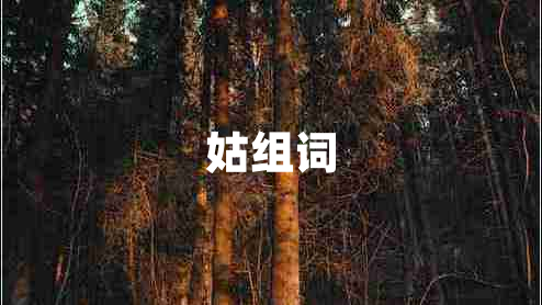 姑組詞