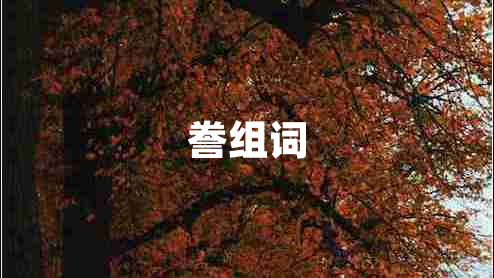 謄組詞