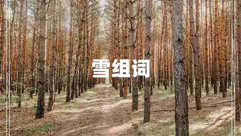 雪組詞