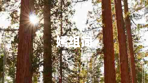 嫣組詞