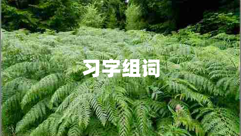 習字組詞