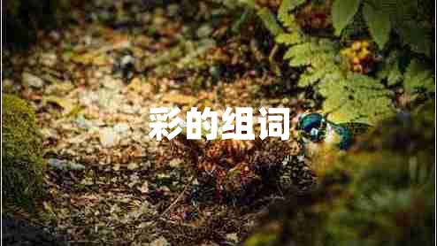 彩的組詞