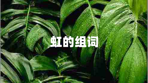 虹的組詞