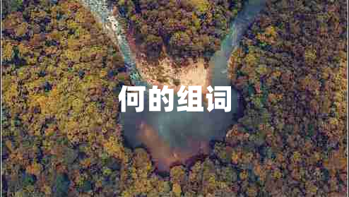 何的組詞