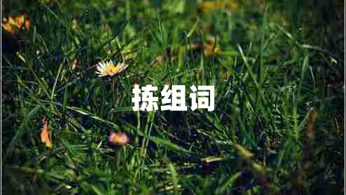 揀組詞