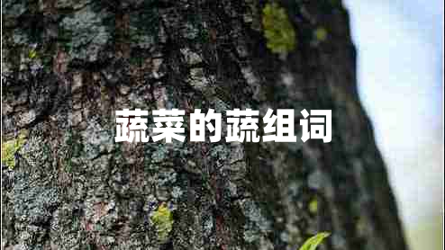 蔬菜的蔬組詞