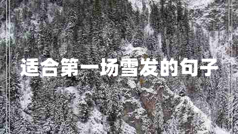 適合第一場(chǎng)雪發(fā)的句子