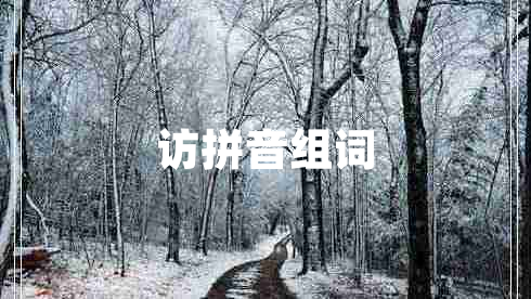 訪(fǎng)拼音組詞