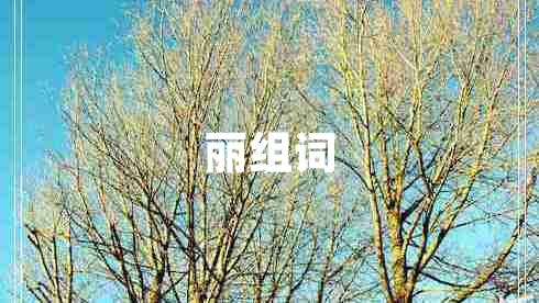 麗組詞