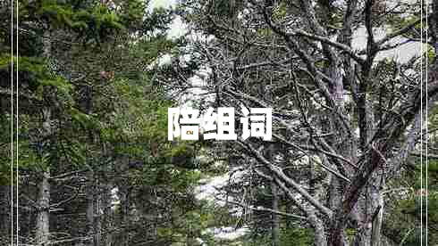 陪組詞