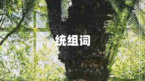 統組詞