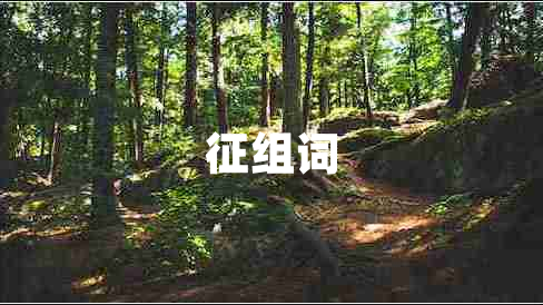 征組詞