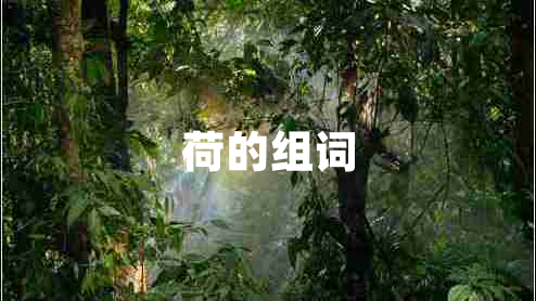 荷的組詞