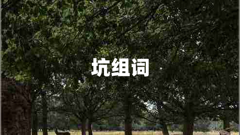 坑組詞