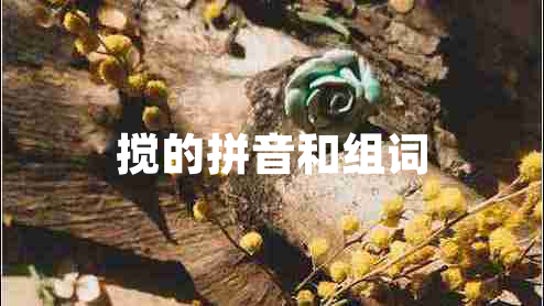 攪的拼音和組詞