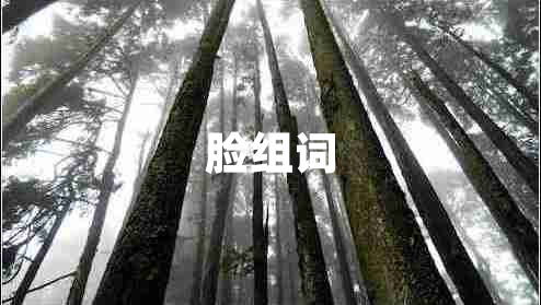 臉組詞