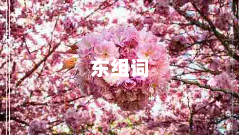 東組詞