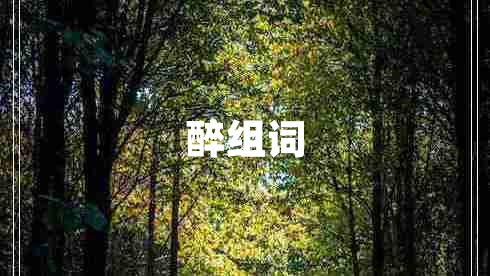 醉組詞