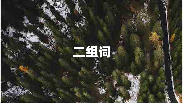 二組詞