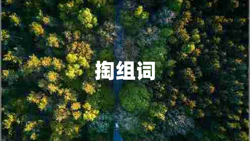 掏組詞