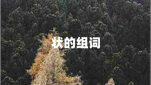 狀的組詞