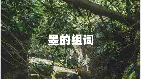 墨的組詞