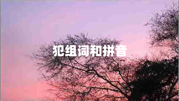 犯組詞和拼音