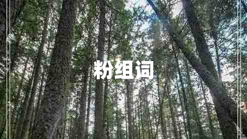 粉組詞