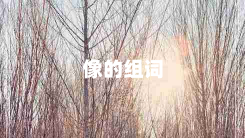 像的組詞