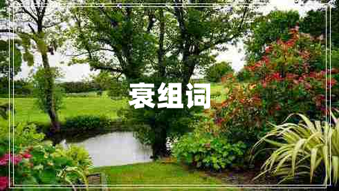 衰組詞