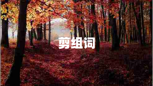 剪組詞