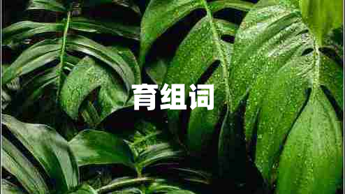 育組詞