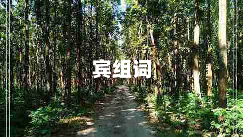賓組詞