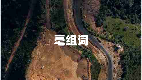 毫組詞